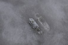 画像5: particle E#09 (5)