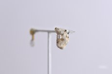 画像7: particle E#11 (7)