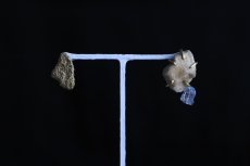 画像3: particle E#13 (3)